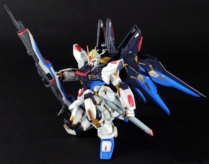 PG 1/60 ZGMF-X20A Strike Freedom Gundam