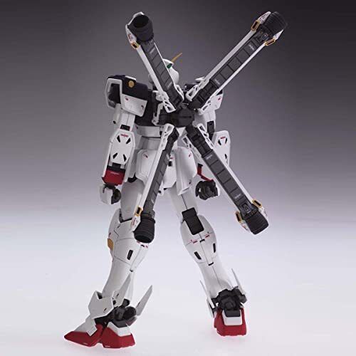 MG 1/100 XM-X1 Crossbone Gundam Ver.Ka