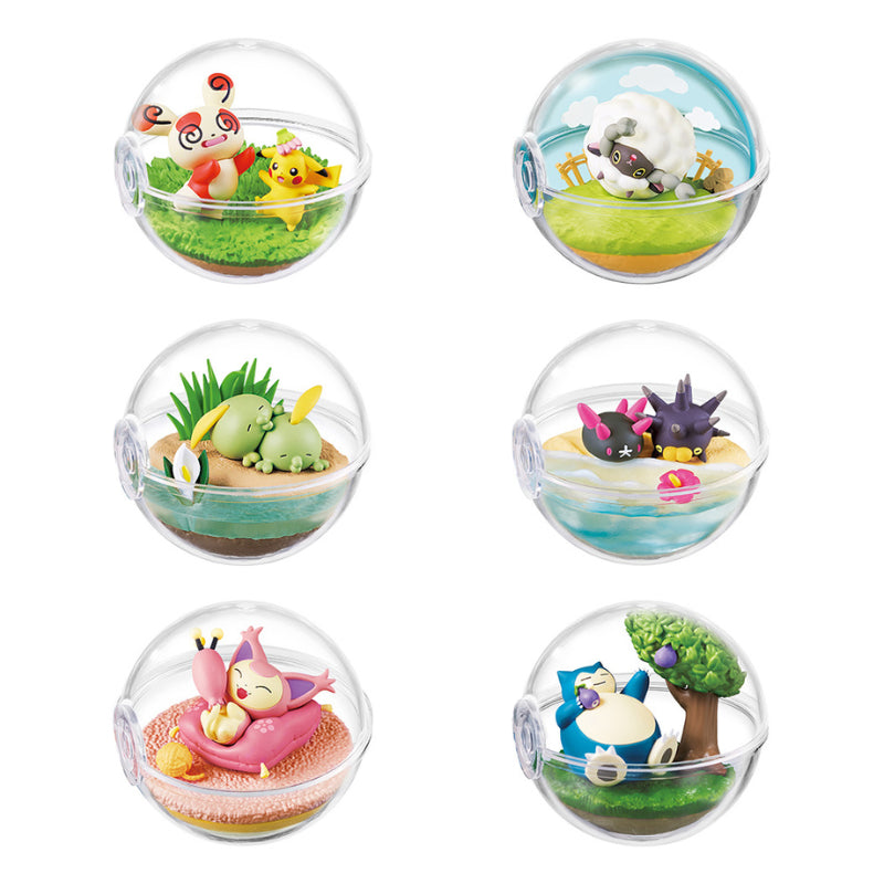 Pokémon Terrarium Collection: Everyday Is A Happy Day